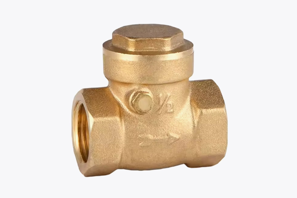 Industrial Check Valve
